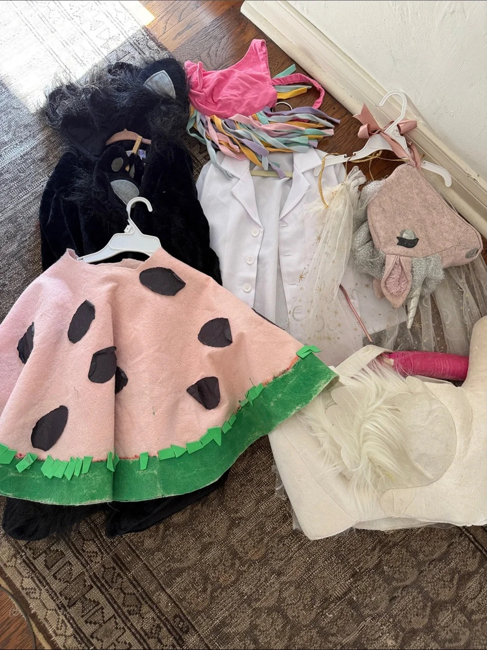 3/5 girls costume assortment Watermelon Costume Cape - cat swan lab coat